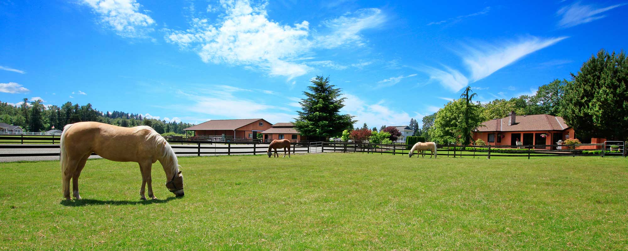 Horse farm insurance - Property and Liability Protection